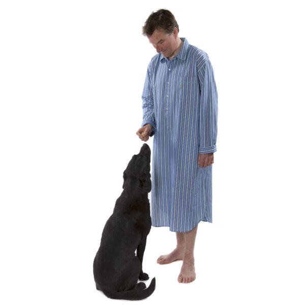 Mens nightshirt in deep blue and green stripe cotton with The Pyjama House labrador